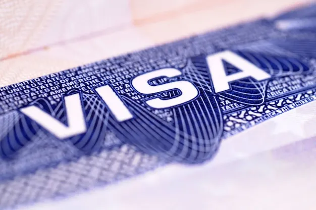 Transatlantic Expeditions: Navigating Egypt’s Advanced Digital Border Protocols